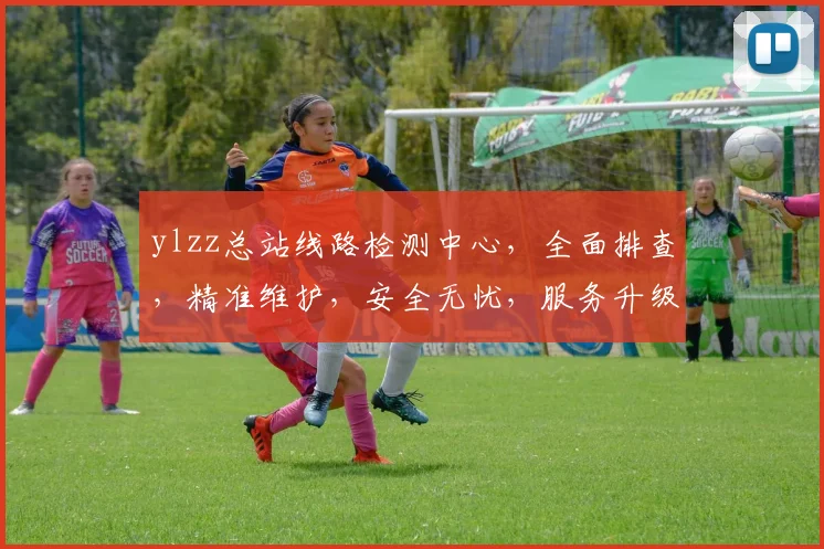 ylzz总站线路检测中心，全面排查，精准维护，安全无忧，服务升级，三重保障，值得信赖。