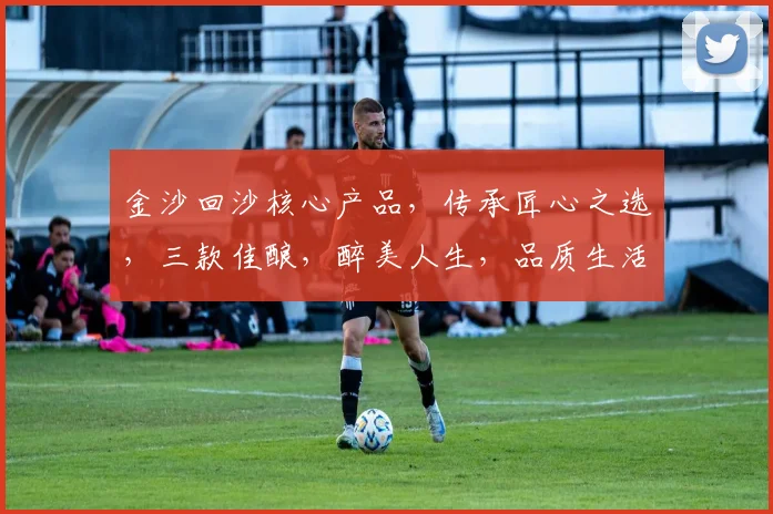 金沙回沙核心产品，传承匠心之选，三款佳酿，醉美人生，品质生活必备，品鉴首选