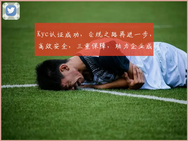 Kyc认证成功，合规之路再进一步，高效安全，三重保障，助力企业成长