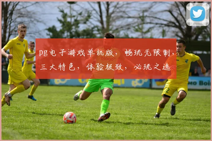 pg电子游戏单机版，畅玩无限制，三大特色，体验极致，必玩之选